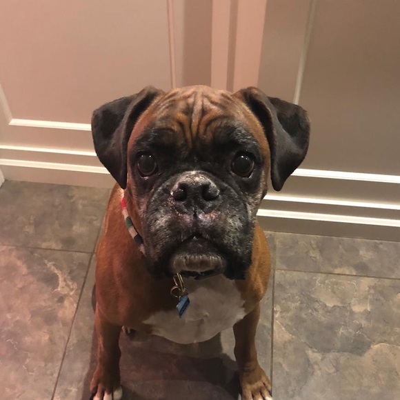 Meet your Posher, Christal - Picture 1 of 1